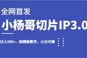 全网首发小杨哥切片IP3.0，日入500+，保姆级教学，小白可做