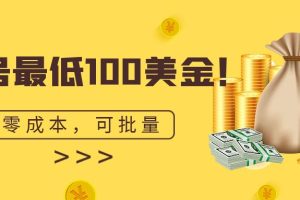 单号最低100美金，零成本，小白无脑操作。可复制，可扩大。