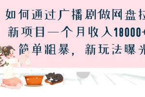 如何通过广播剧做网盘拉新项目一个月收入18000+，简单粗暴，新玩法曝光