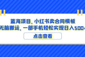 蓝海项目 小红书卖合同模板 无脑搬运 一部手机日入500+（教程+4000份模板）