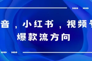 抖音，小红书，视频号爆款流视频制作，简单制作掌握流量密码