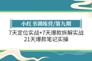 小红书训练营/第九期：7天定位实战+7天爆款拆解实战，21天爆款笔记实操