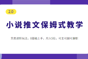 小说推文保姆式教学2.0，另类进阶玩法，0基础上手，月入5位，可主可副可兼职