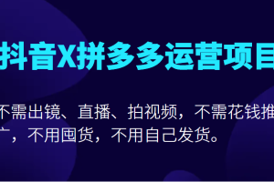 抖音X拼多多运营项目，不需出镜、直播、拍视频，不需花钱推广，不用囤货不用自己发货