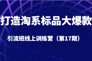 打造淘系标品大爆款引流班线上训练营（第17期）5天直播授课+1个月答疑