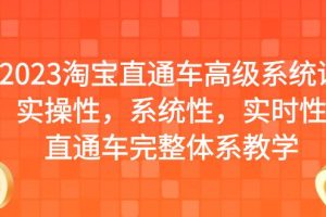 2023淘宝直通车高级系统课，实操性，系统性，实时性，直通车完整体系教学