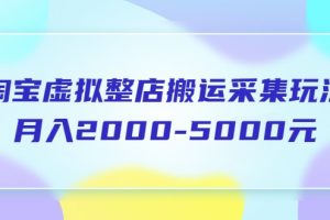 淘宝虚拟整店搬运采集玩法分享课：月入2000-5000元（5节课）