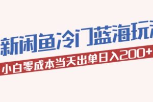 2023最新闲鱼冷门蓝海玩法，小白零成本当天出单日入200+