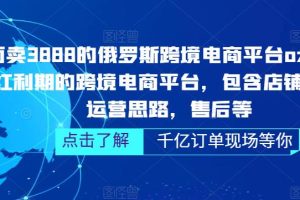 俄罗斯跨境电商平台ozon运营，包含店铺申请，运营思路，售后等