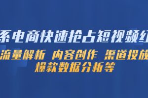 淘系电商快速抢占短视频红利：流量解析 内容创作 渠道投放 爆款数据分析等