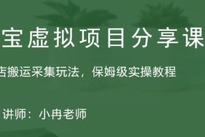 淘宝虚拟整店搬运采集玩法分享课：整店搬运采集玩法，保姆级实操教程