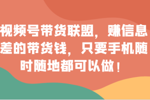 视频号带货联盟，赚信息差的带货钱，只需手机随时随地都可以做！