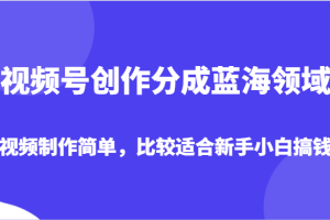 视频号创作分成蓝海领域，视频制作简单，比较适合新手小白搞钱