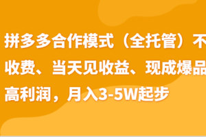 最新拼多多模式日入4K+两天销量过百单，无学费、老运营代操作、小白福利