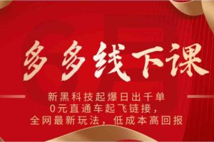 多多线下课：新黑科技起爆日出千单，0元直通车起飞链接，全网最新玩法，低成本高回报