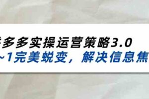 2024-2025拼多多实操运营策略3.0，0~1完美蜕变，解决信息焦虑（38节）