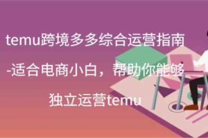 temu跨境多多综合运营指南-适合电商小白，帮助你能够独立运营temu(44节)