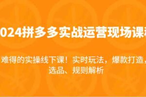 2024拼多多实战运营现场课，实时玩法，爆款打造，选品、规则解析，难得的实操线下课！