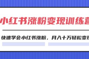 2024小红书19天涨粉变现特训营，快速学会小红书涨粉，月入十万轻松变现（42节）