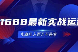 1688最新实战运营，0基础学会1688实战运营，电商年入百万不是梦（131节）