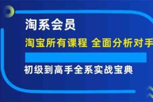 淘系会员初级到高手全系实战宝典【淘宝所有课程，全面分析对手】