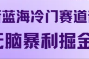 最新蓝海冷门赛道音频，无脑暴利掘金