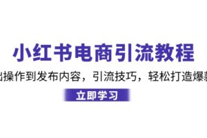 小红书电商引流教程：从基础操作到发布内容，引流技巧，轻松打造爆款产品