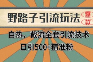 抖音小红书视频号全平台引流打法，全自动引流日引2000+精准客户