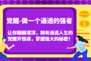 认知觉醒，让你醍醐灌顶拥有通透人生，掌握强大的秘密！觉醒开悟课（更新）