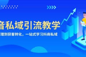 抖音私域引流教学：从项目原理到获客转化，一站式学习抖商私域