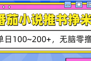 番茄小说推书赚米，单日100~200+，无脑零撸