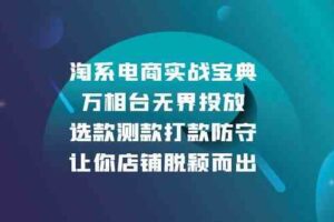 淘系电商实战宝典：万相台无界投放，选款测款打款防守，让你店铺脱颖而出