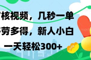 审核视频，几秒一单，多劳多得，新人小白一天轻松300+