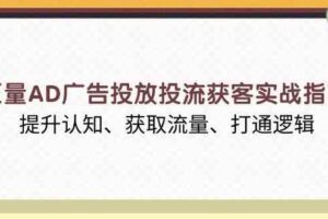 巨量AD广告投放投流获客实战指南，提升认知、获取流量、打通逻辑